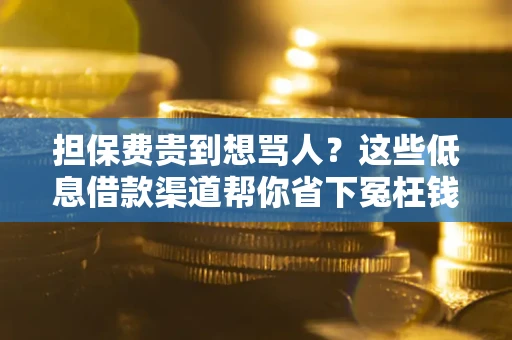 北京担保费贵到想骂人？这些低息借款渠道帮你省下冤枉钱