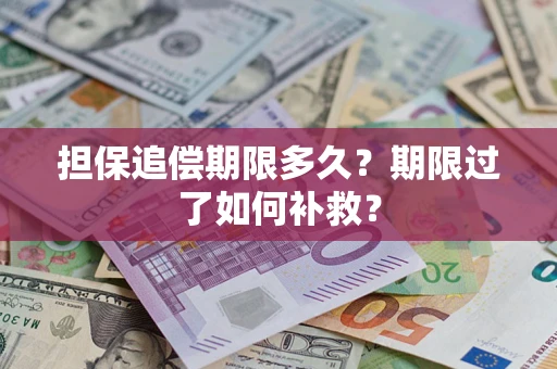 北京担保追偿期限多久？期限过了如何补救？